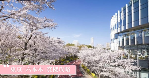 六本木賞櫻指南|毛利庭園、櫻坂通夜櫻、東京鐵塔夢幻美景攻略