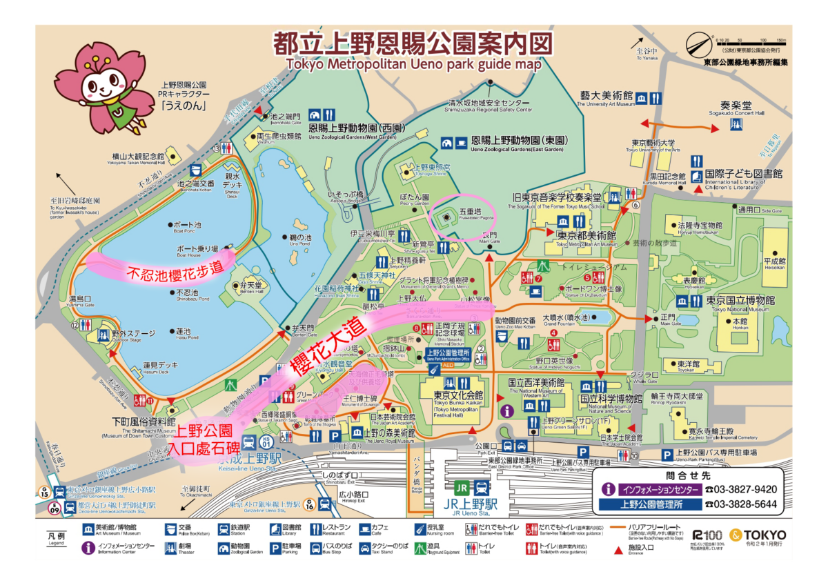 上野公園最佳觀賞櫻花景點