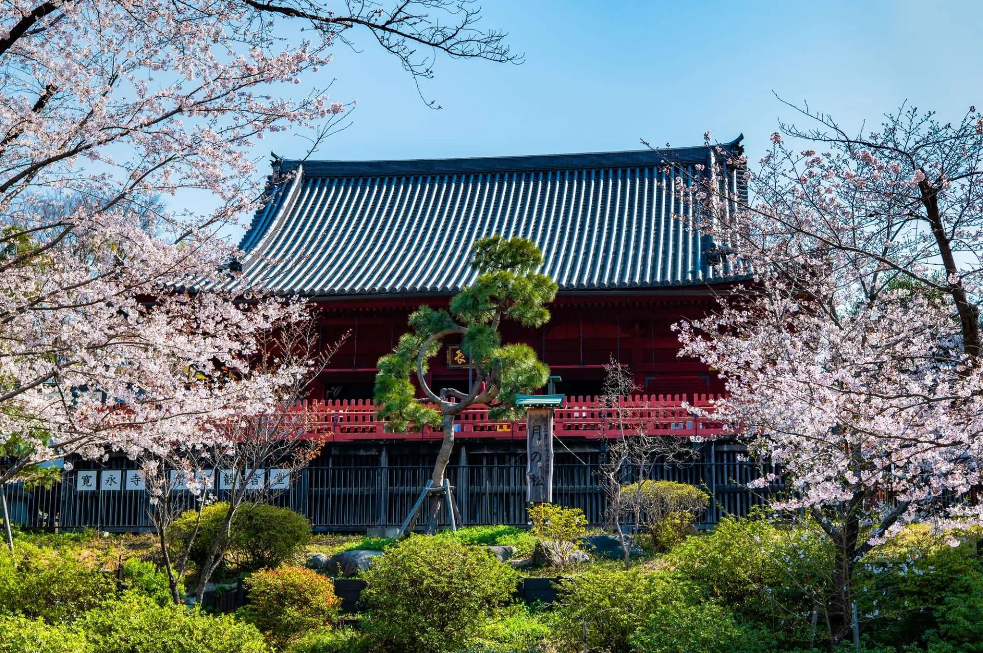 上野公園「清水觀水堂」是1631年所建造的重要文化財產
