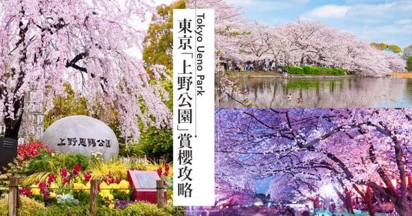 【東京上野公園賞櫻攻略】櫻花盛開期、「櫻花大道」、「不忍池」賞櫻景點路線推薦、隱藏拍照景點必知道！