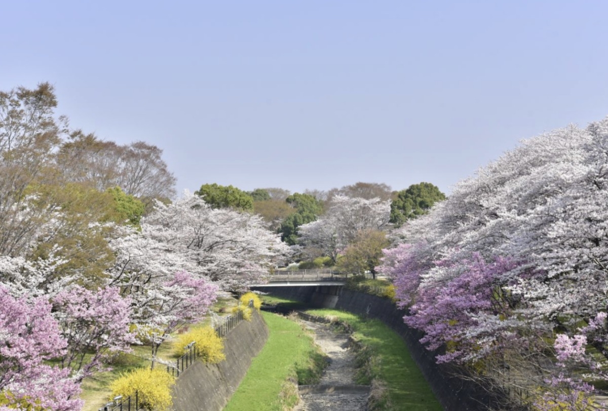 昭和紀念公園