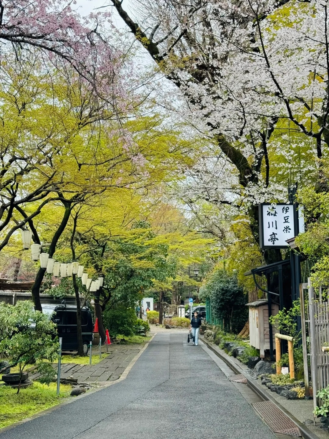 上野公園拍照景點推薦： 伊豆榮梅川亭前小路