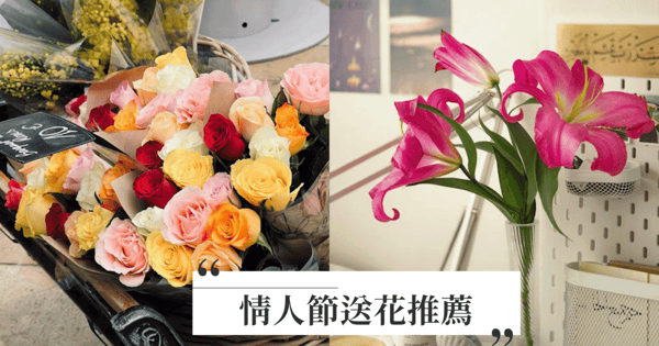 情人節送什麼花？2025情人節送花推薦！除了玫瑰花，鬱金香代表永恆的愛♡