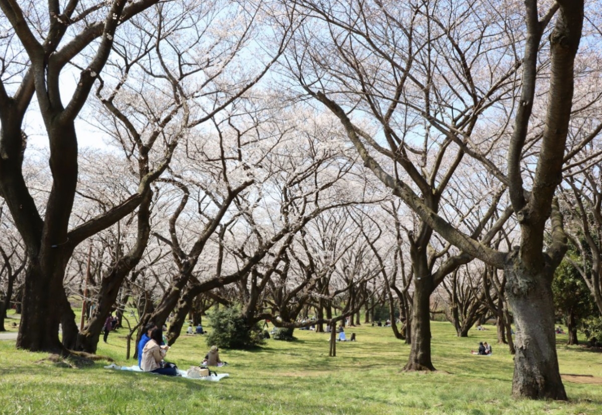 昭和紀念公園