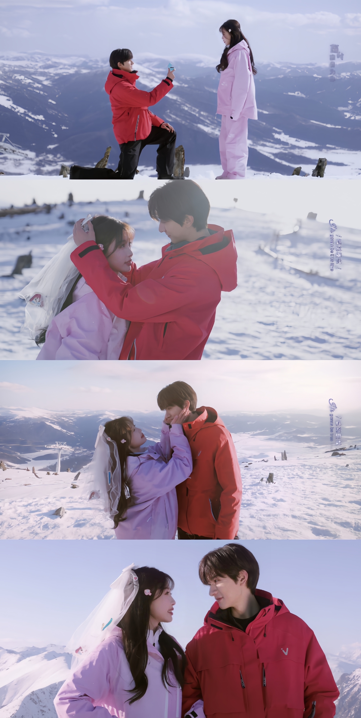 「單崇」單膝下跪向「衛枝」求婚。