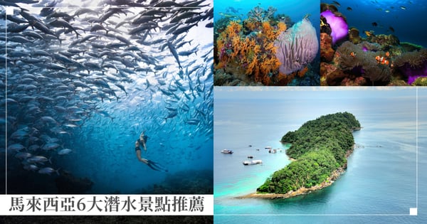 馬來西亞6大潛水景點推薦！「西巴丹島」全球Top 10潛水勝地，美里「實務地珊瑚礁國家公園」最美秘境！