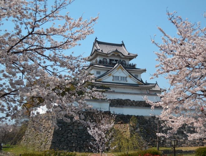 大阪岸和田城賞櫻