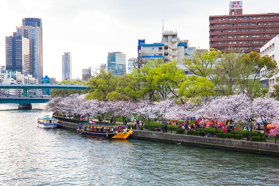 大阪毛馬櫻之宮公園賞櫻