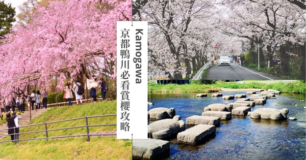 【京都鴨川賞櫻攻略】3個必去櫻花景點、最佳賞櫻時間、交通方式、納涼床賞櫻美食推薦一次看