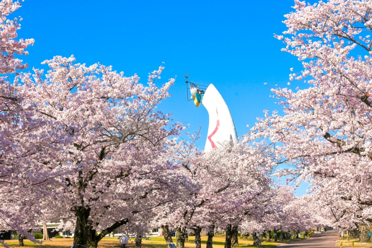 萬博紀念公園盛大呈獻春季限定活動「SAKURA EXPO 2025」