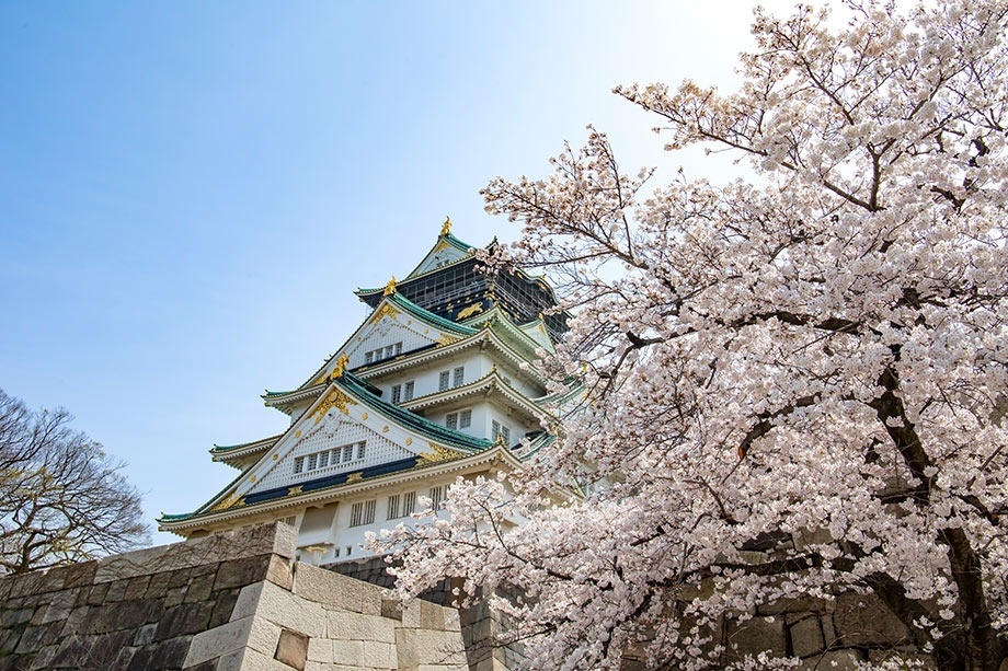 大阪城公園賞櫻
