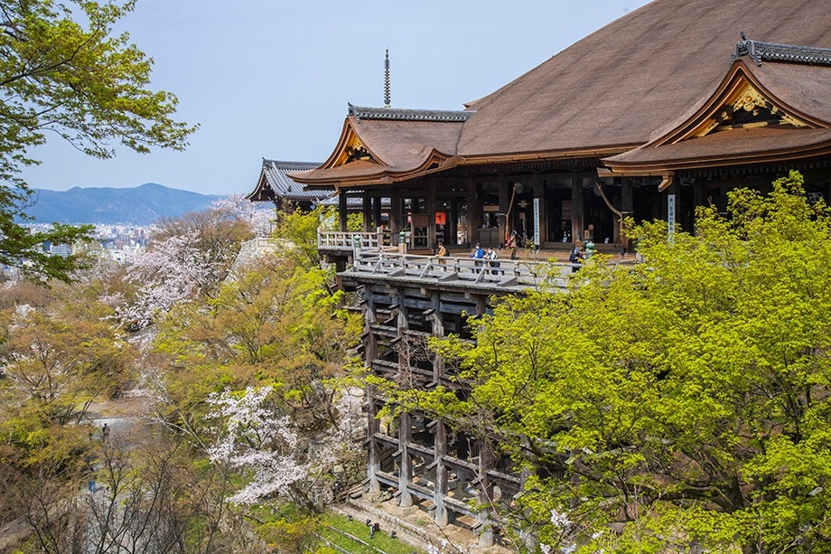 京都清水寺櫻花