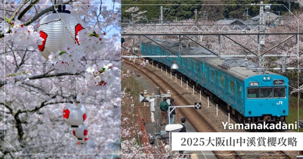 搭電車就能輕鬆抵達!2025大阪山中溪賞櫻攻略,隱藏在鐵路旁的粉色櫻花大道♡