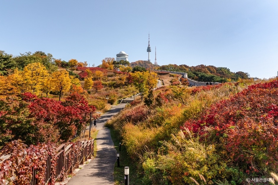 首爾南山公園