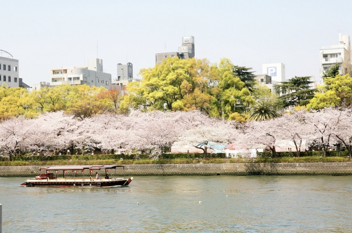 大阪毛馬櫻之宮公園賞櫻