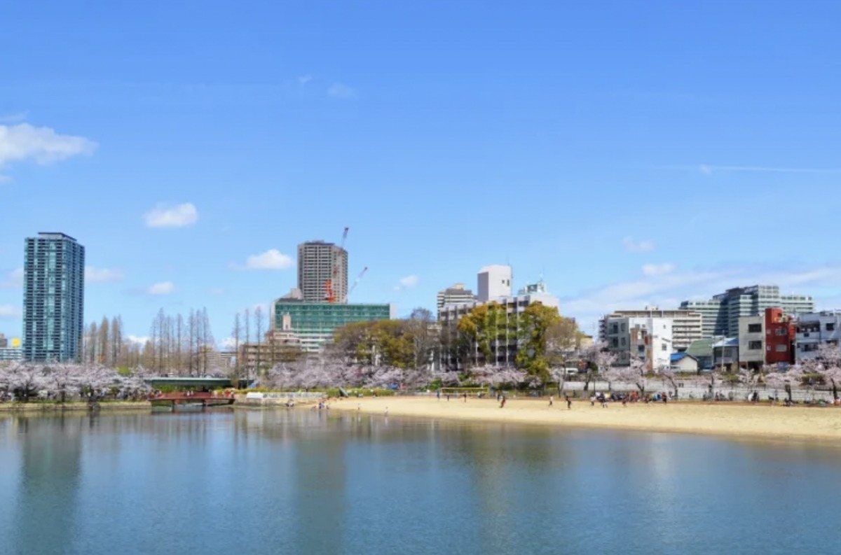 毛馬櫻之宮公園賞櫻熱點