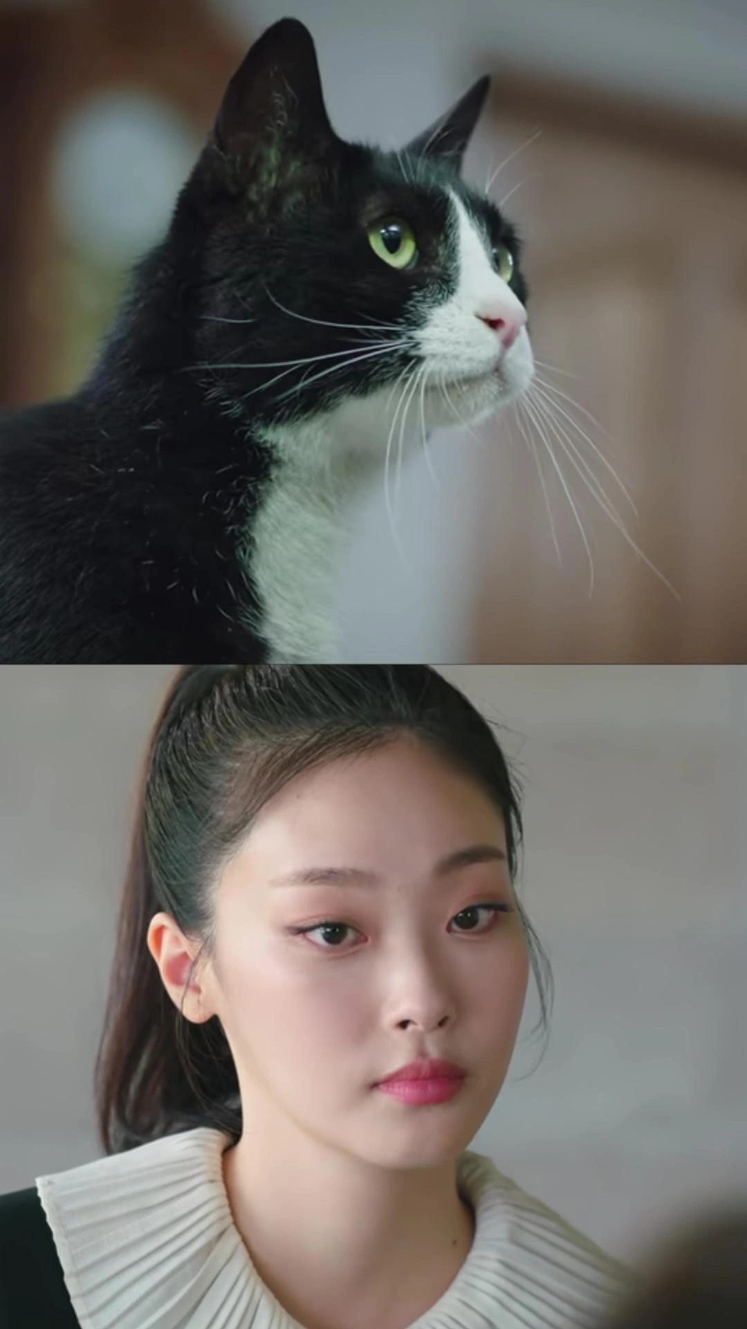 Netflix《比天堂還美麗》貓咪演員崔熙真