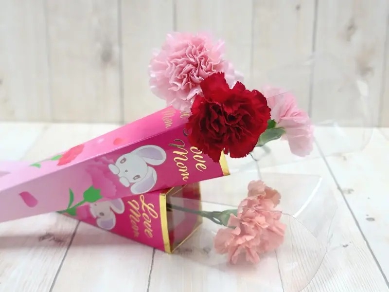 7-ELEVEN空運哥倫比亞多色系康乃馨,紅色、粉色、粉橘色...等嬌嫩花蕊含苞待放。