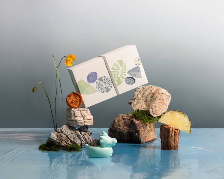 「有肉SUCCULAND」X「卡柏蒂 CUPETIT」綠舟金運端午雙享植品禮盒，美得令人一見鍾情！