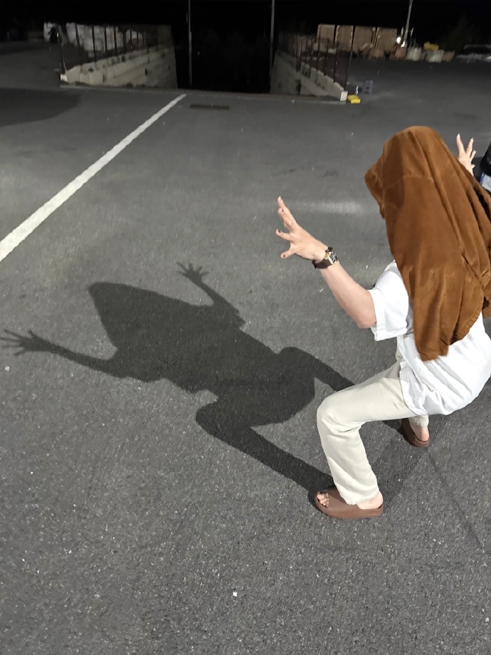 SEVENTEEN成員徐明浩青蛙影子掀轟動