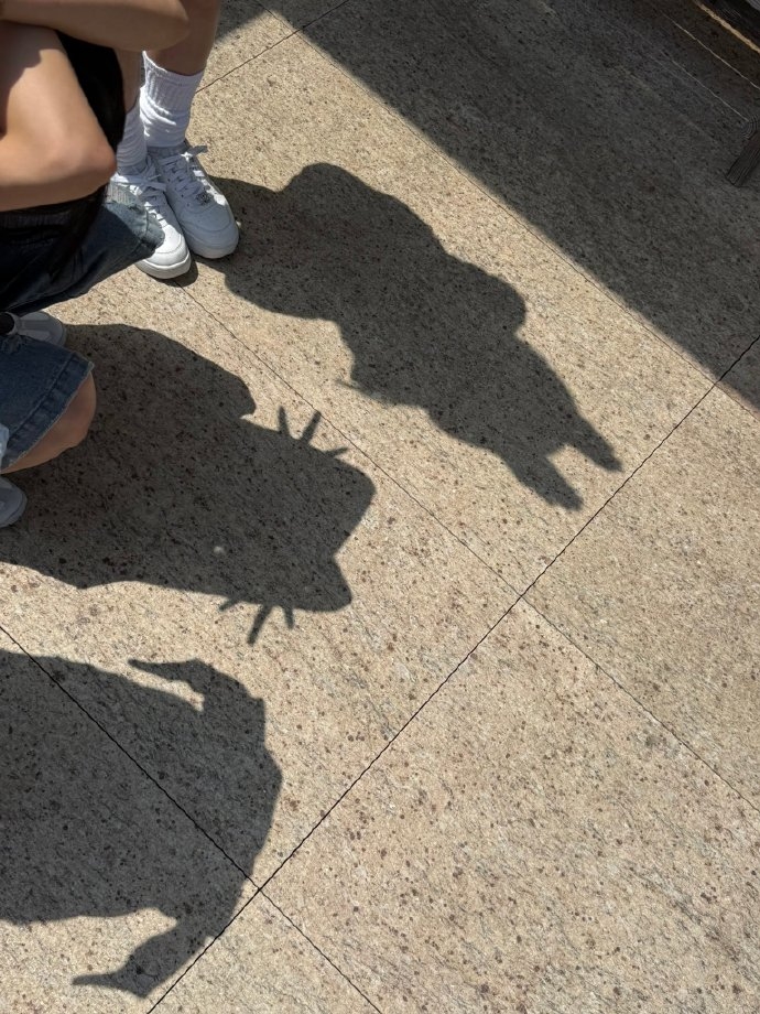 韓國網友玩出更多動物影子