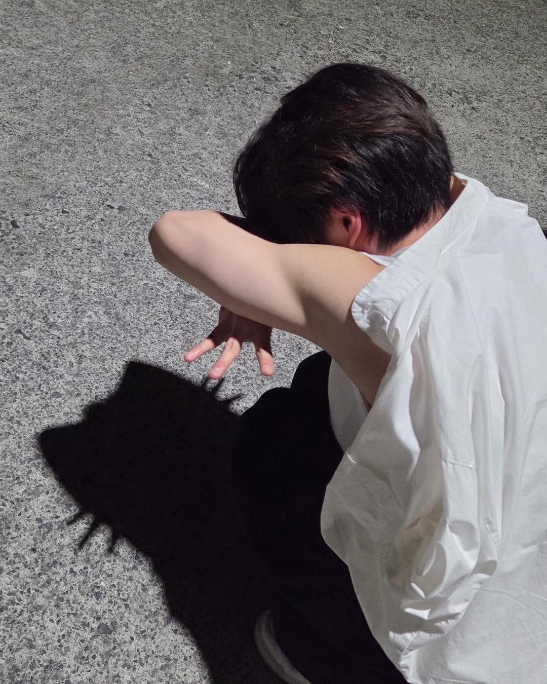 金珉錫XIUMIN玩貓咪影子