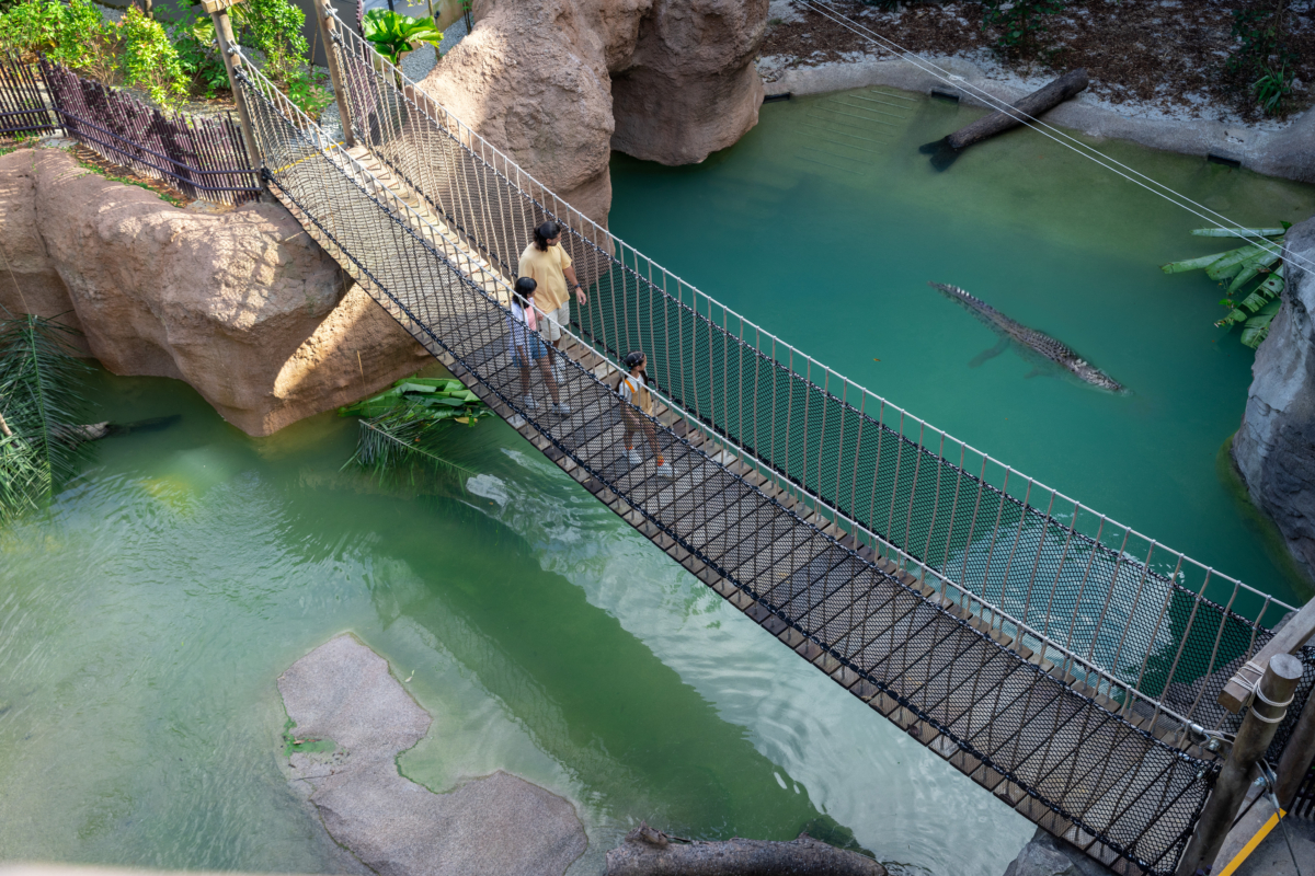 Rainforest Wild ASIA 亞洲雨林探險園