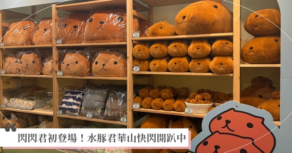 日本療癒系「水豚君」歡慶20週年華山快閃紀念店 盛大登場！