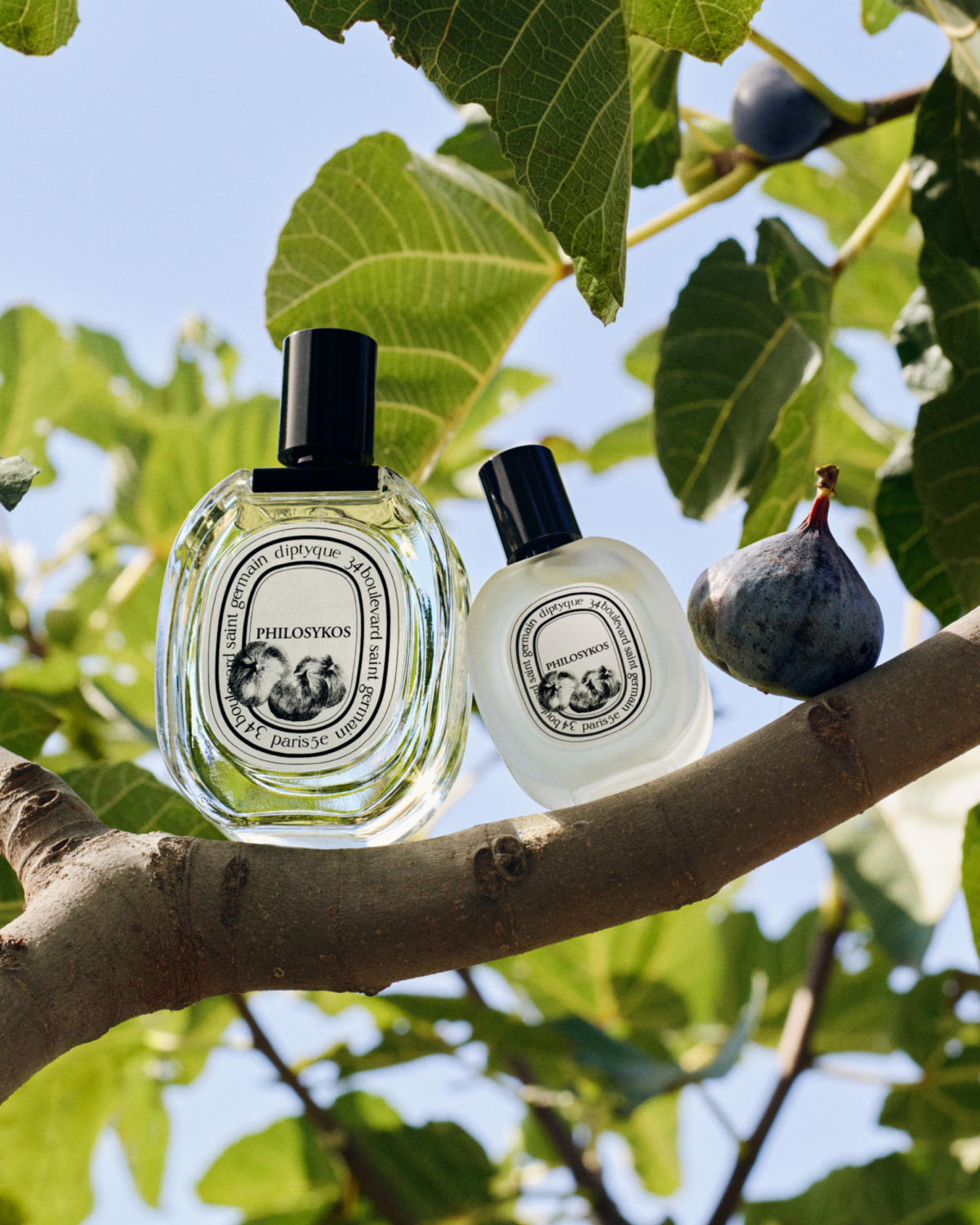 Diptyque 希臘無花果淡香水&髮香噴霧