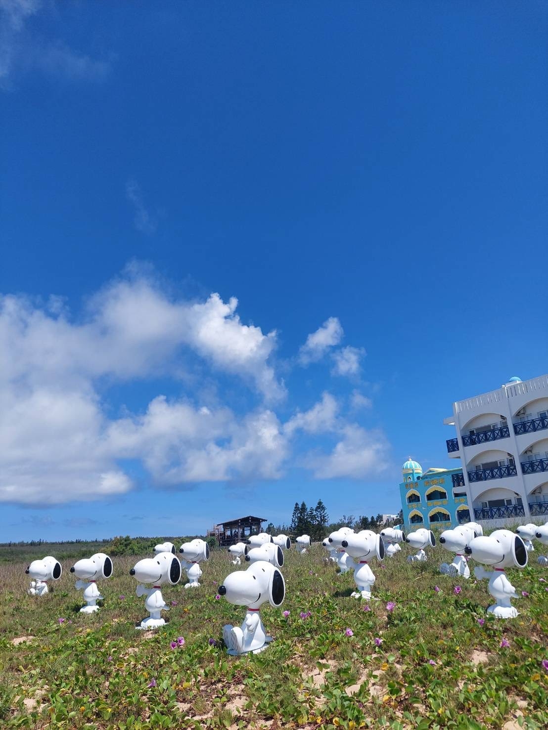 史努比第一天出沒山水沙灘