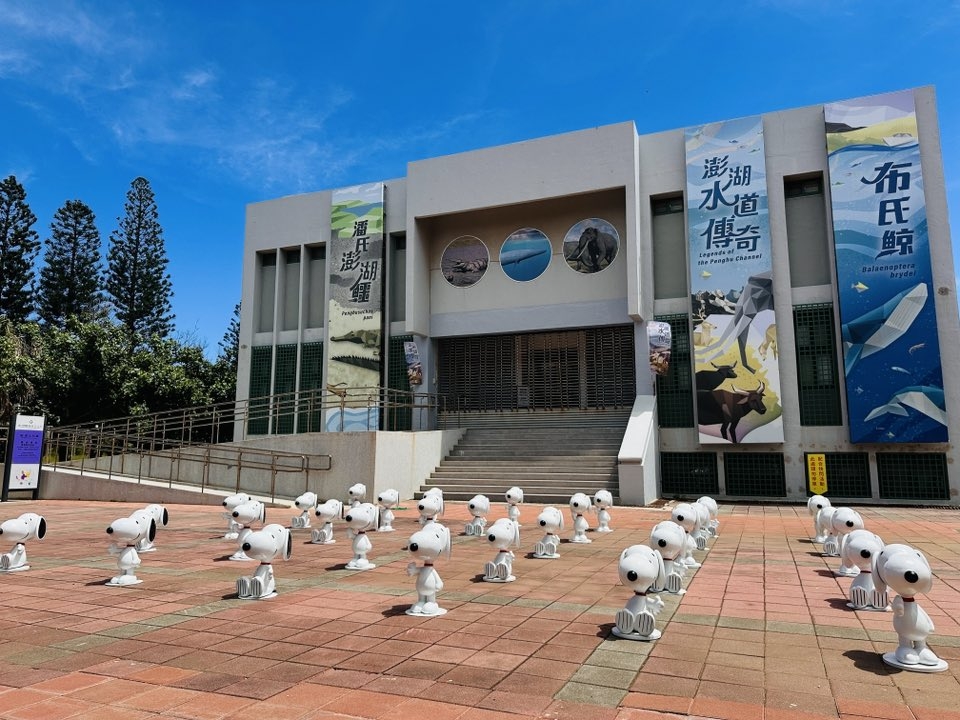 史努比大軍持續快閃澎湖化石館
