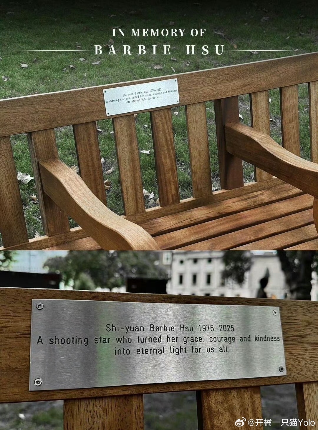 大S紀念椅日前完工。