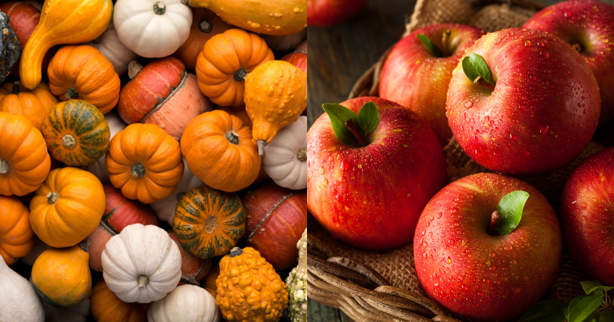 秋天為什麼是減肥最佳時機？