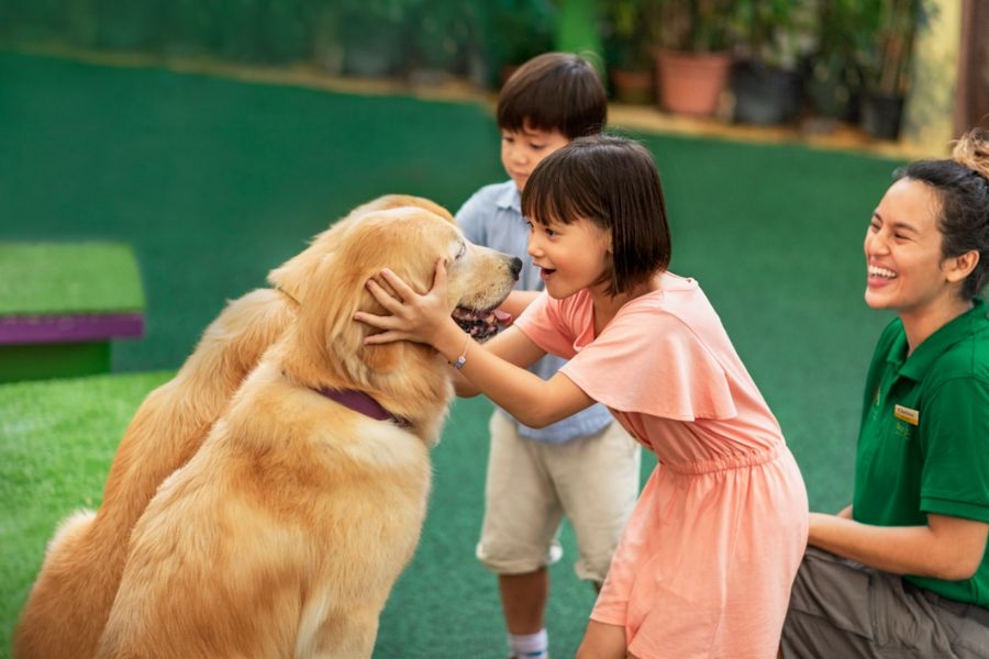 這一區的動物都很溫和,小孩會玩到不亦樂乎。