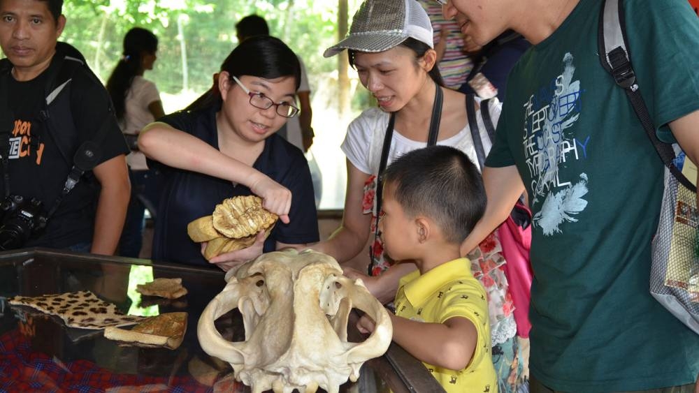 別錯過展示台上珍貴的動物標本!