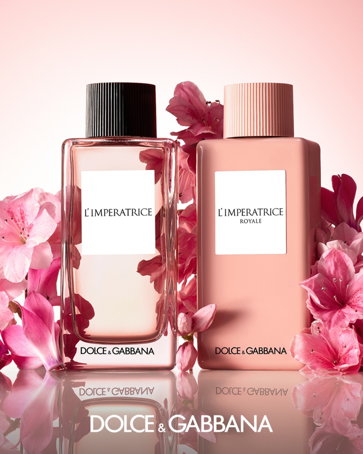 D&G L'Imperatrice 淡香水