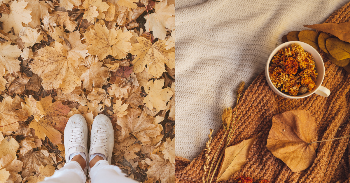 秋天為什麼是減肥最佳時機？