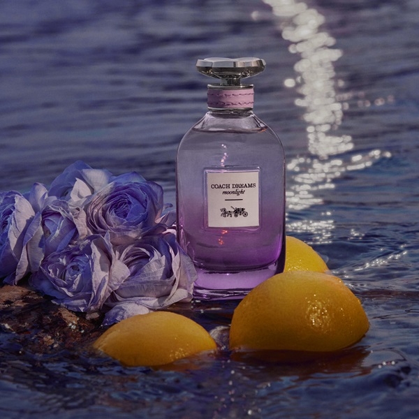 「夜空系」香水推薦03:COACH DREAMS moonlight逐夢月光淡香精 90ml ,NT$3,950 / 60ml,NT$2,950 / 40ml,NT$1,950