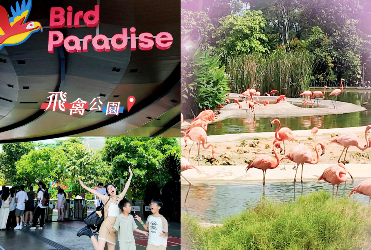 飛禽公園