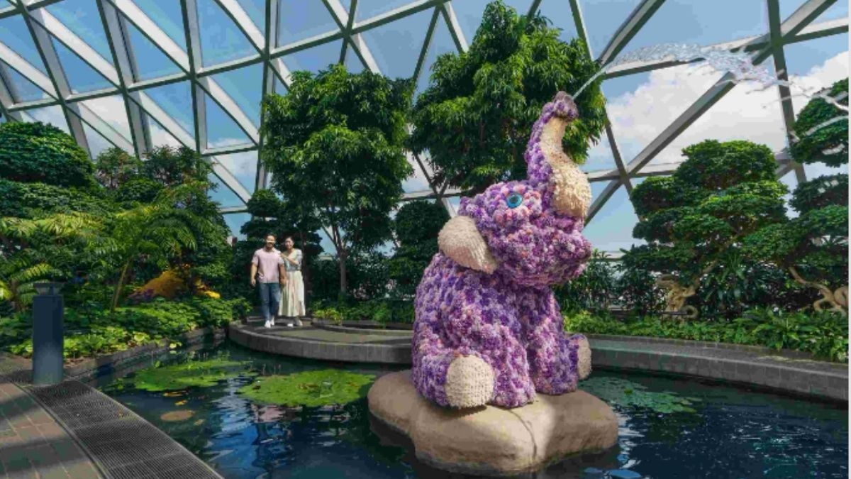 Canopy Park把自然景觀、娛樂設施與科技體驗一次集合。