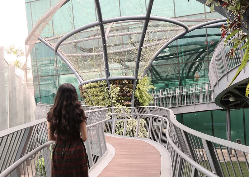 尋秘花園絕對是樟宜機場必逛的夢幻景點之一。