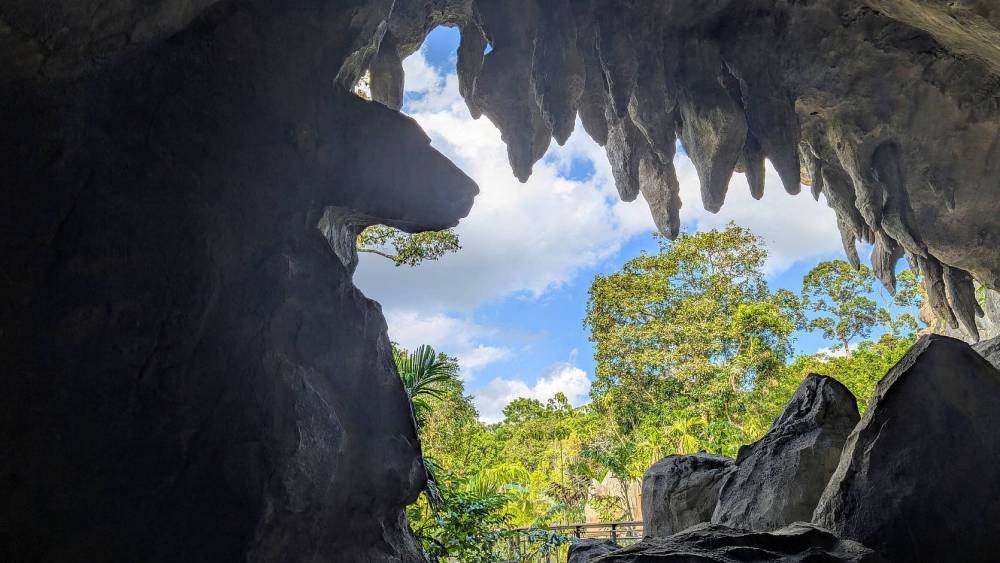 岩洞是從 婆羅洲古貢穆魯國家公園 的古老洞穴汲取靈感,長220米的奇妙洞窟。