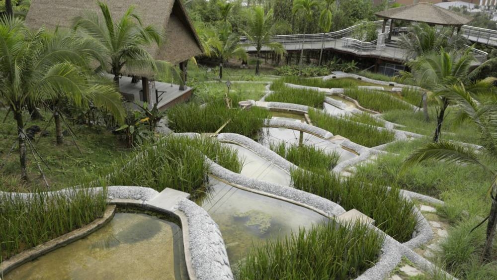 巴厘島風格的梯田是這裡的中心景觀。