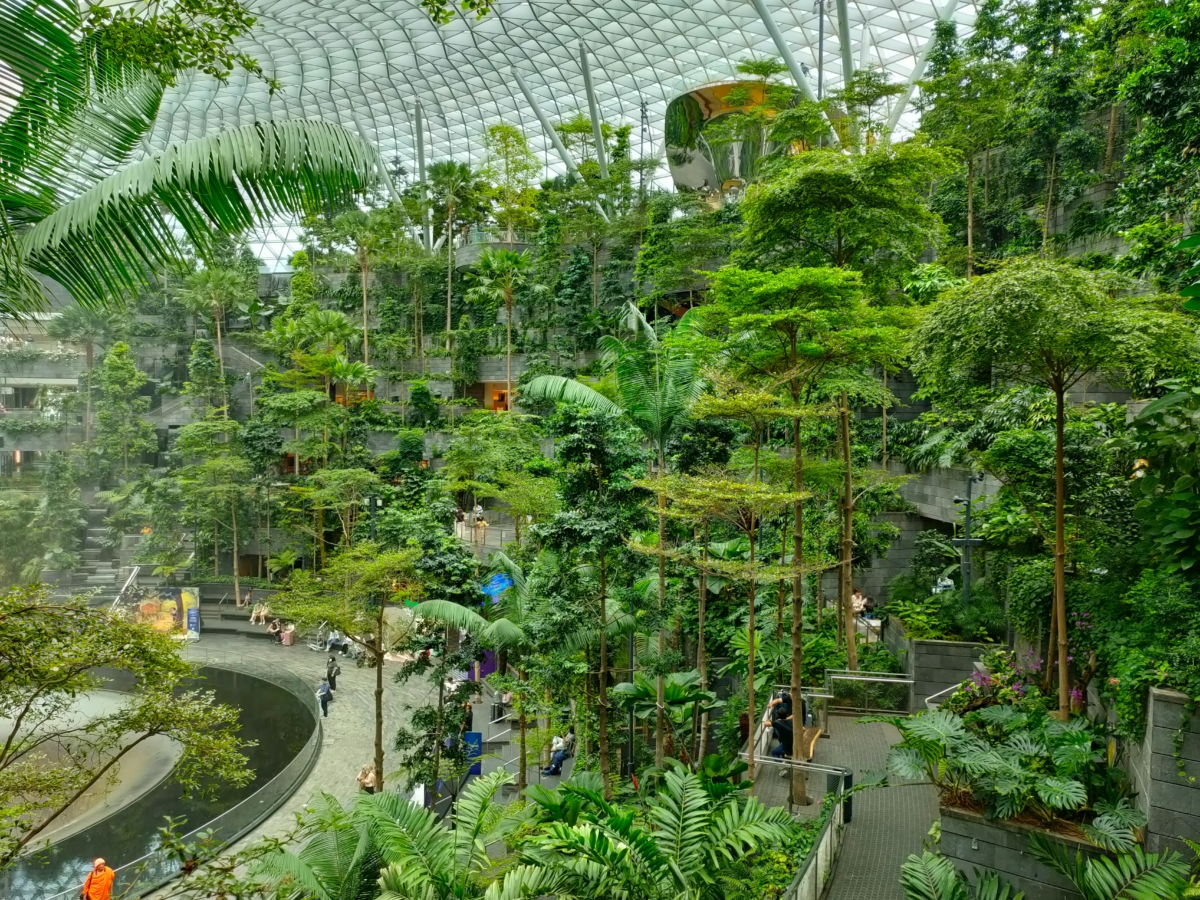 整個空間以階梯式設計圍繞著全球最高的室內瀑布,綠意滿滿。