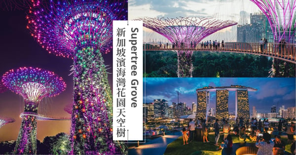 【新加坡必遊景點】濱海灣花園天空樹燈光秀、空中走廊、觀景台、最佳觀賞位置完整指南，帶你走進未來奇景！