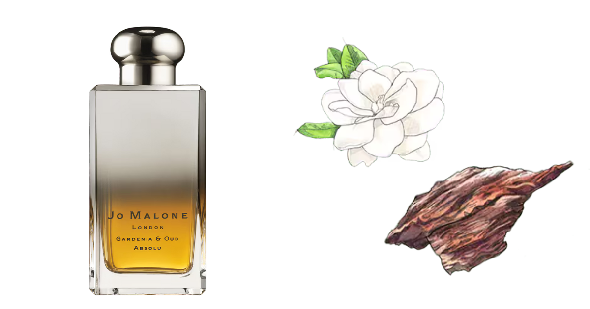 Jo Malone London Gardenia & Oud Absolu 梔子花與烏木精粹香水
