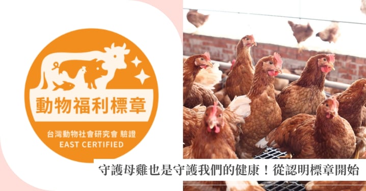 你知道自己吃的雞蛋來自哪裡嗎?有「動物福利標章」的雞蛋,不僅守護母雞,也守護你的健康與心