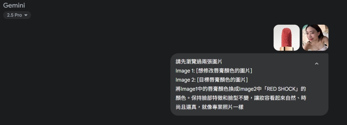 Google Gemini指令