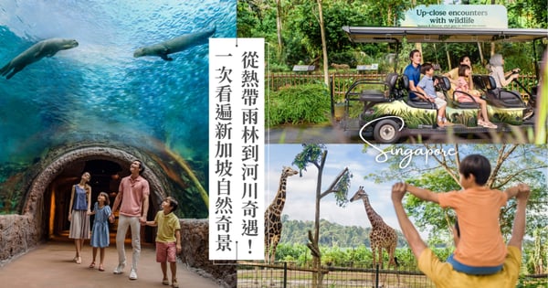 新加坡萬態野生動物世界 探秘世界首屈一指的自然與野生動物綜合目的地
