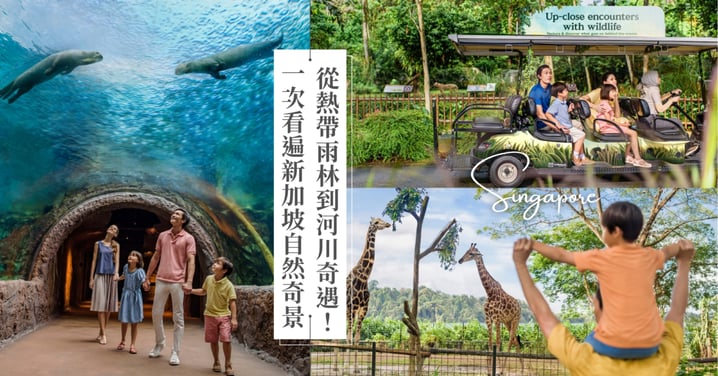 新加坡萬態野生動物世界 探秘世界首屈一指的自然與野生動物綜合目的地